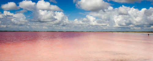 Розовое озеро