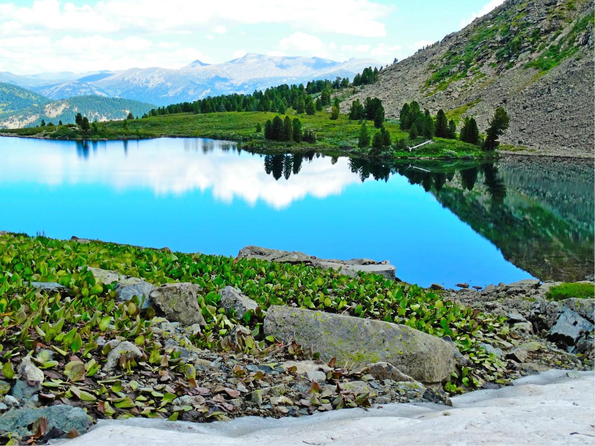 Озера алтая фото с названиями для отдыха