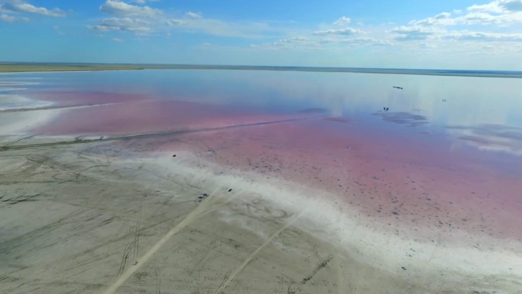 розовое озеро Алтай