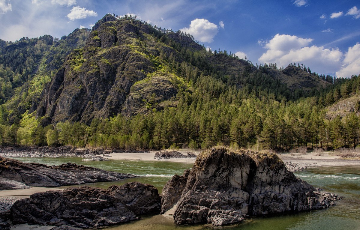 Алтай река катунь фото